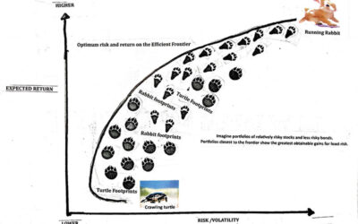 Diversify Stock Rabbits with Bond Turtles